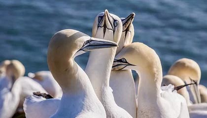 爱游戏在线登录入口-逆转之王：那些令人惊叹的逆转战役，逆转之王小说