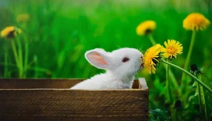 爱游戏在线娱乐官网-西甲战斗激烈，球员反馈赛后感受，西甲战果